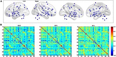 Cortico-basal ganglia networks dysfunction associated with disease severity in patients with idiopathic blepharospasm